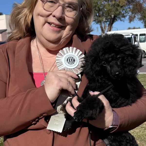 Woman holding a black poodle and an AKC award ribbon.