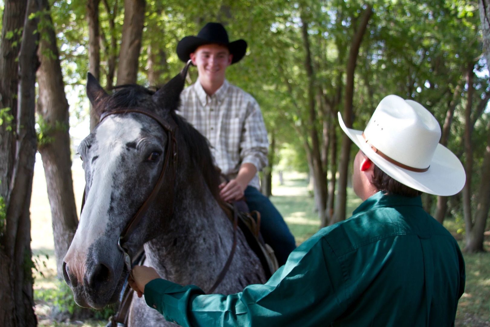 McCrossan Boys Ranch - At-Risk Youth, Ranch, Nonprofit