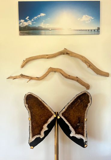 Artistic wall display with driftwood and butterfly wings.