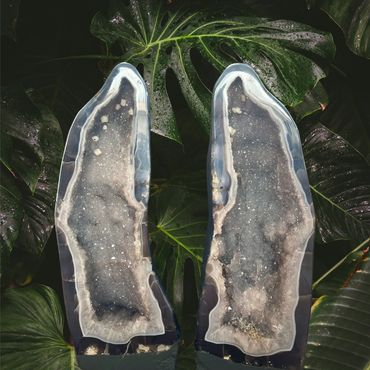 Two large polished geode slices on tropical leaves.