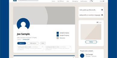 LinkedIn profile page for Joe Sample with company and connection details.