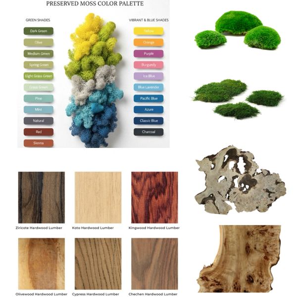 types of moss and wood