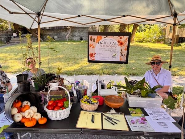 Our bountiful Oak Lane Day table!