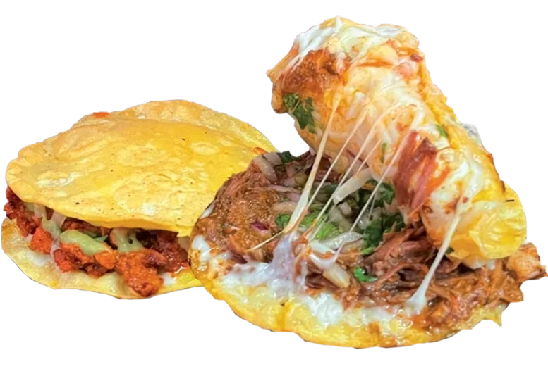 Asada, Al Pastor, Pollo, Carnitas, Chorizo