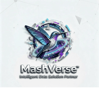 Mashverse AI