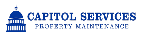 Capitol Services LLC 