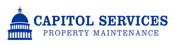 Capitol Services LLC 