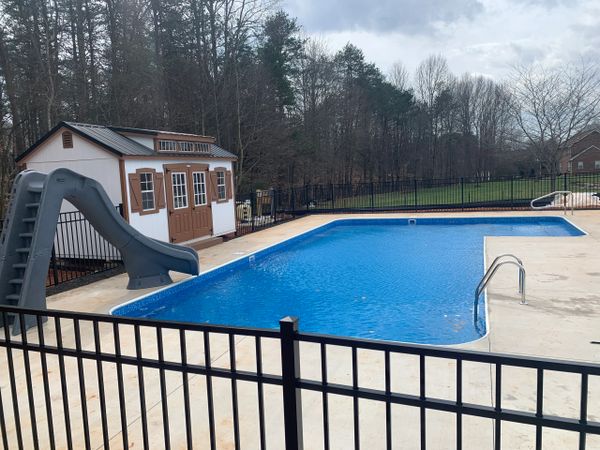 True Eel Inground Swimming Pool | Slide | Tanning Ledge