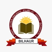 Smt Surajmukhi Public  School