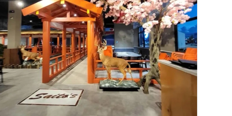 Picture of Saito's at Dania