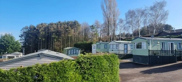 A row of mobile homes under a clear blue sky with trees in the background.