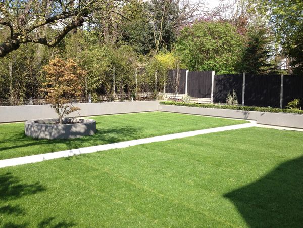 A garden with short grass