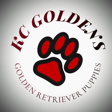 KC Goldens, Golden Retriever Puppies logo 