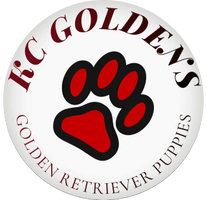
KC   Goldens 