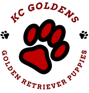 
KC   Goldens 