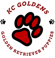
KC   Goldens 