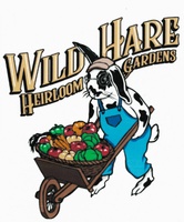 Wild Hare Heirloom Gardens