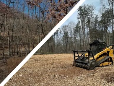 Land clearing.  Forestry mulching. 