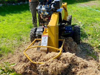 Stump grinding, stump removal