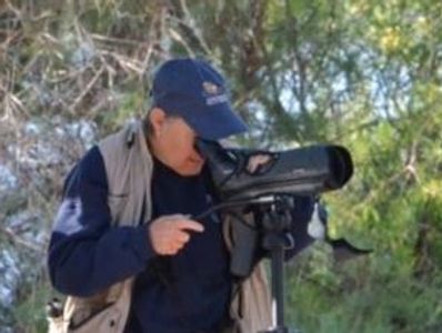 DeeDee De Lorenzo's birding at Catfish Paradise, Havasu NWR