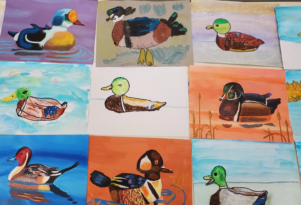 2023 Arizona Junior Duck Stamp Art Contest - Honorable Mention Entries #3 of 3