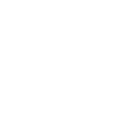 Art Solutions & Innovation