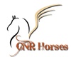 CNR Horses LLC