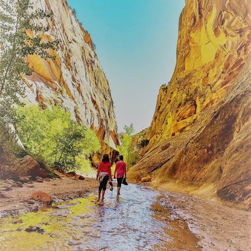 children hiking in canyon