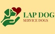 Board & Training Options to Meet Your Needs