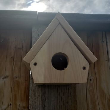 Birdhouse kit - predrilled holes - easy to assemble for kids