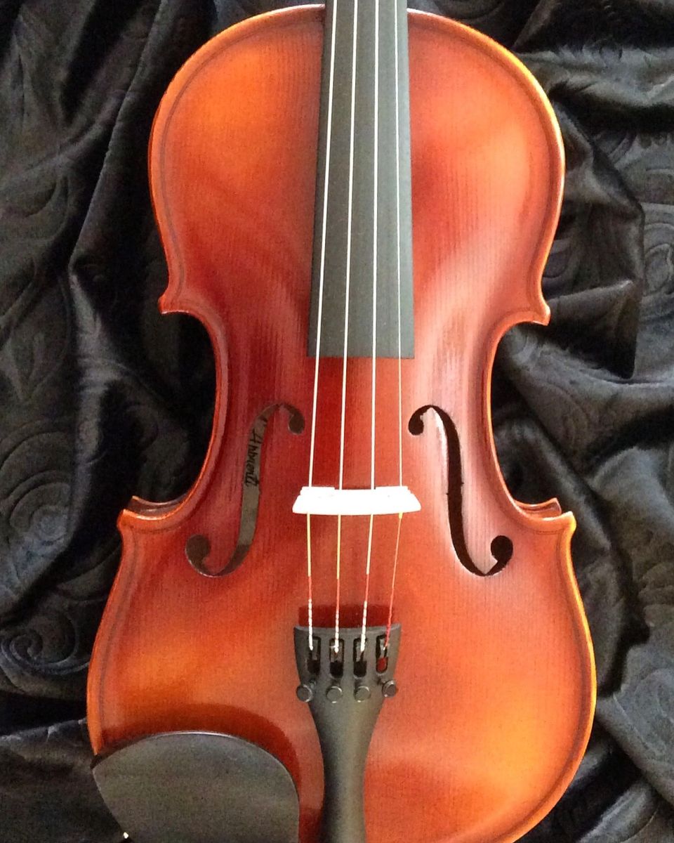 Apprentice Violin Outfit from GEWA