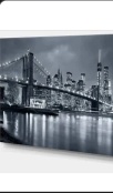 CitiWide Pest Control Supplies 