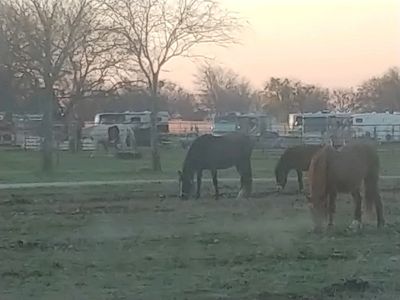 Briarflats RV resort photo 5