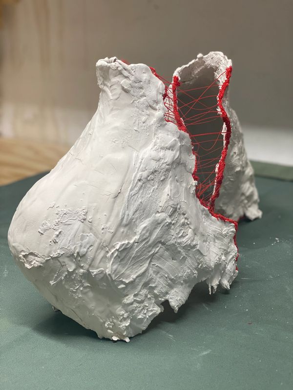 Mixed Media Body Casting