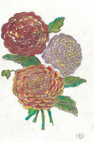 Camellias Flowers, pastel painting, Diana Rell Dean, drawings, botanicals, 