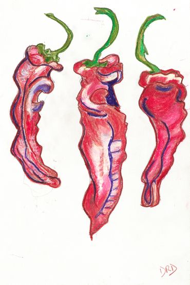 Peppers, Flowers, pastel painting, Diana Rell Dean, drawings, botanicals, 