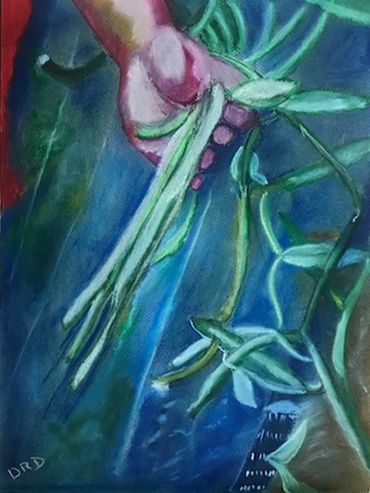 Flowers, pastel painting, Diana Rell Dean, drawings, botanicals, Vanilla