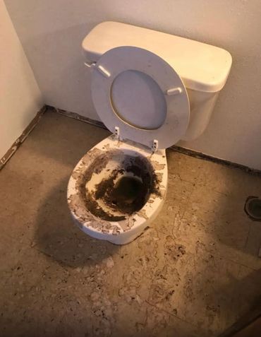 Overflowed toilet