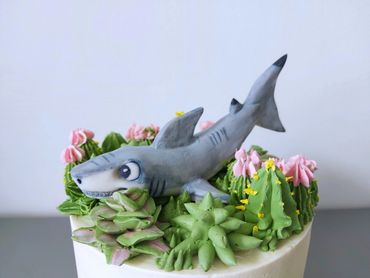 succulents and shark cake
