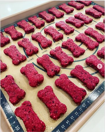 dog treats on baking tray