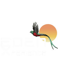 eden-xperience.com