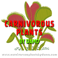 Carnivorous Plants By Damo