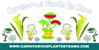 Carnivorous Plants By Damo