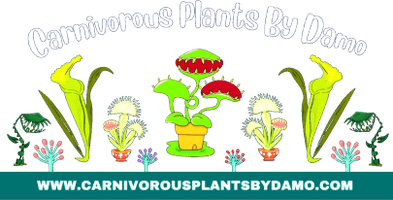 Carnivorous Plants By Damo