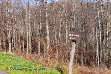 Signpost reading 'Maloney Pond' in front of bare trees.