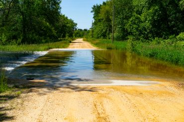 A dirt road partially flooded with water surrounded by green trees.