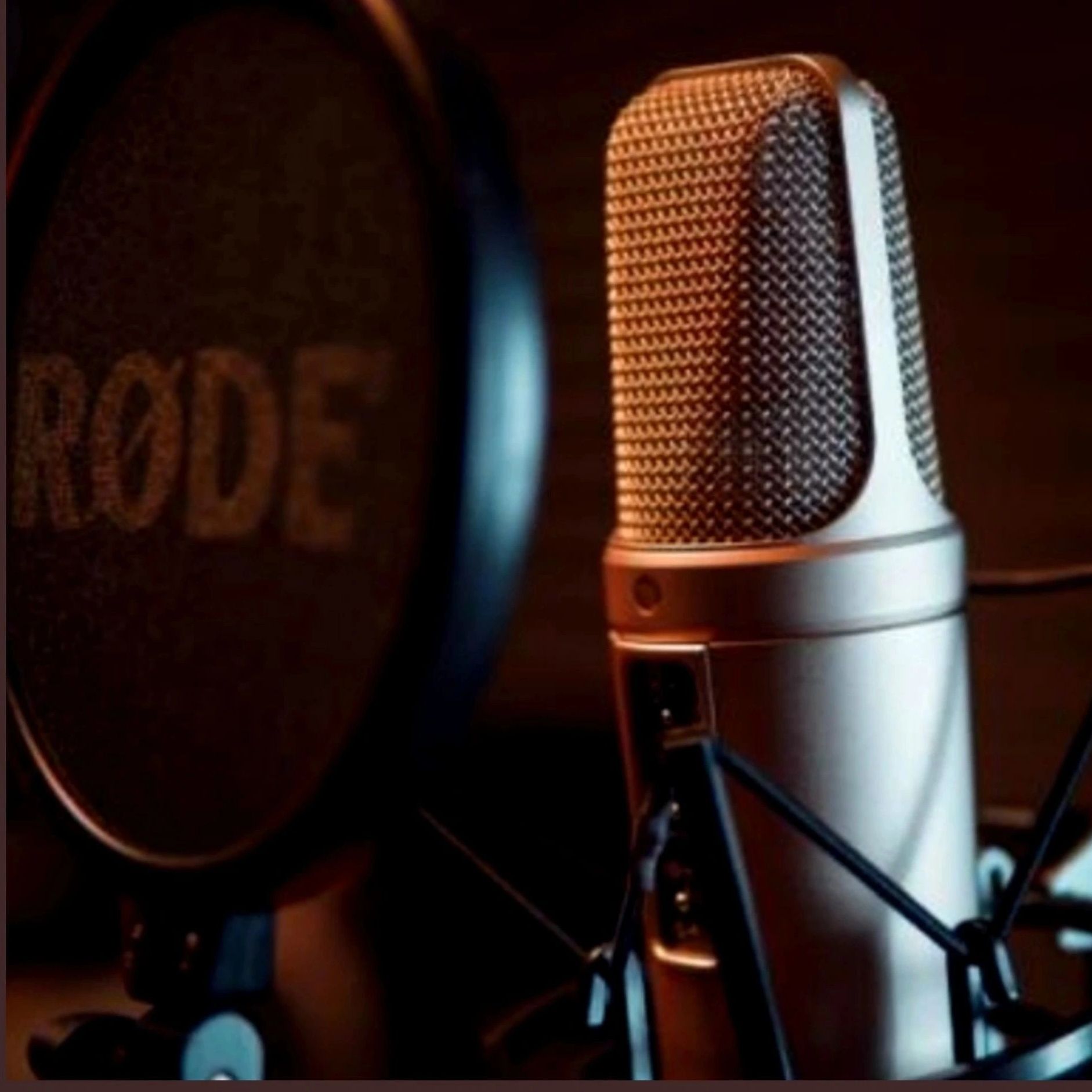 Close-up of a professional recording microphone and pop filter in a studio.