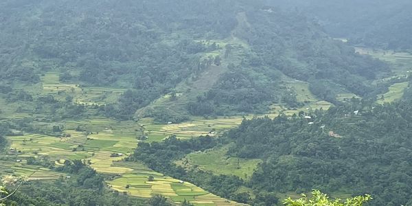 #Assam #teagarden #Nagaland #Holidays #Women #trip #Meghalaya 