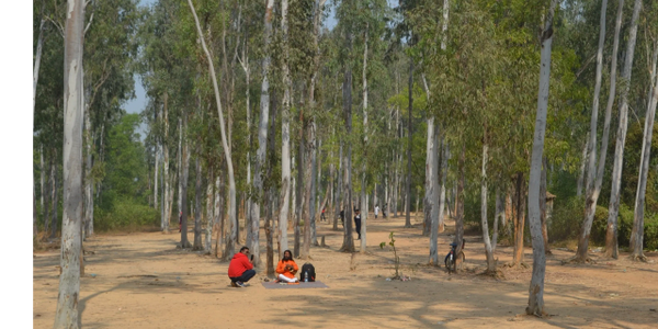 #shantiniketan #sonajhuri #westbengal