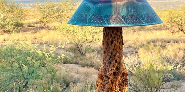 Cholla cactus made into a table lamp. 
Custom design lamp shade made out of copper. Mesquite base wi